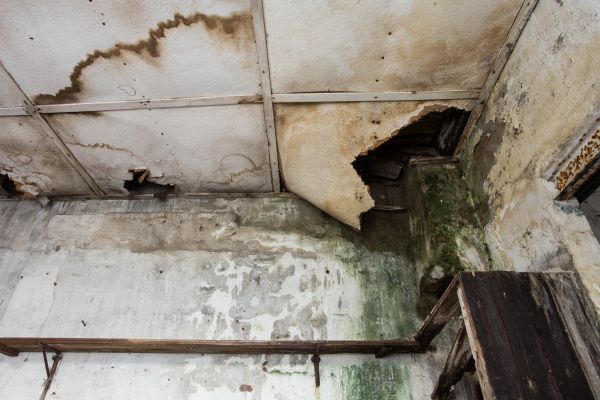 Cost of Water Damage Service in Rockford