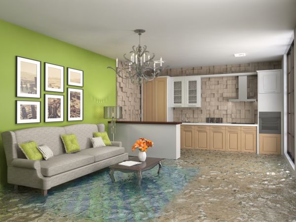 Cost of Wet Carpet Drying in Rockford