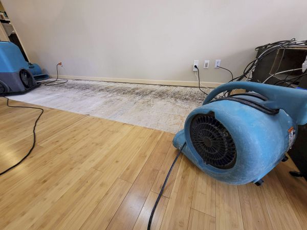 Cost of Water Damage Mitigation in Rockford