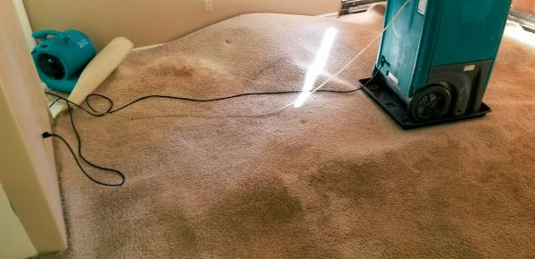 Cost of Carpet Water Extraction in Rockford