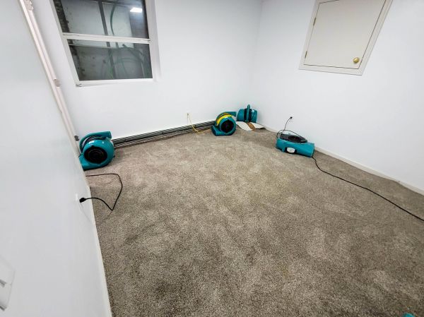 Cost of Flood Restoration Service in Rockford