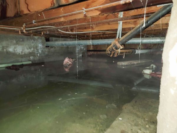 Cost of Water Mitigation Service in Rockford