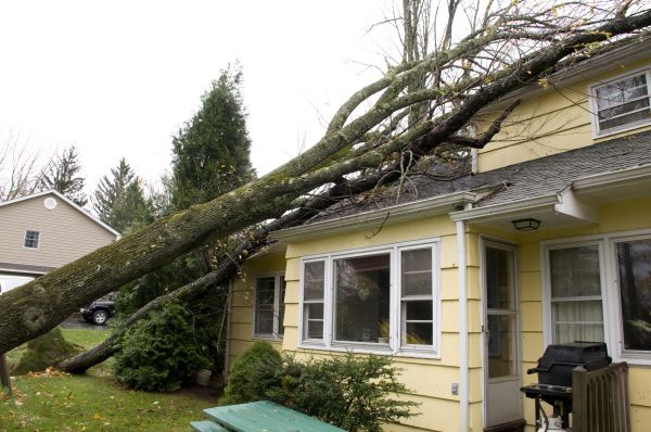 Cost of Hurricane Damage Repair in Rockford