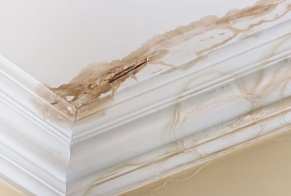 Cost of Water Damage Recovery in Rockford