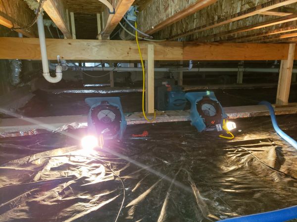 Cost of Crawlspace Water Removal in Rockford