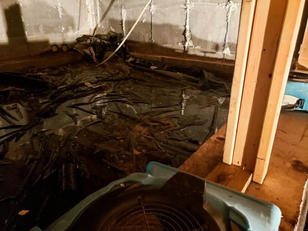 Cost of Crawlspace Water Cleanup in Rockford