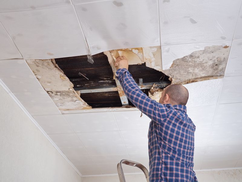 Water Damage Repair Crew